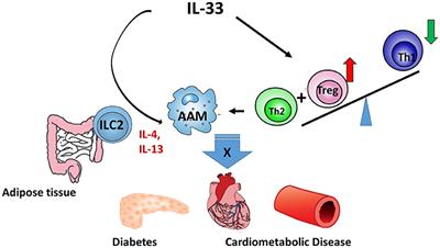 IL-33 at the Crossroads of Metabolic Disorders and Immunity